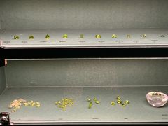 -深圳珠宝博物馆