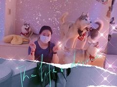 -Husky Go! 哈士奇体验馆·宠物咖啡厅狗咖