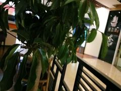 大堂-CoCo都可(香港名都店)