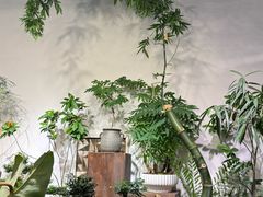 -自由生长植物工作室(深港花卉中心店)