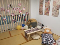 -柴迷FANS CLUB·柴犬狗咖·猫咖