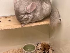 -龙猫仔乐园(惠福东路店)