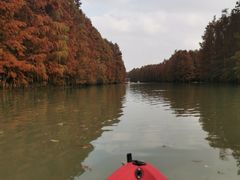 -上海海湾国家森林公园