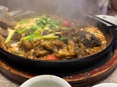 -老板恋上鱼(恒隆广场店)