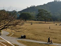 -风云岭森林公园