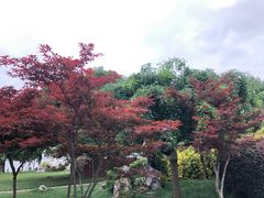 -亢龙太子酒轩(东湖店)