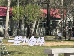 -南戴河国际娱乐中心