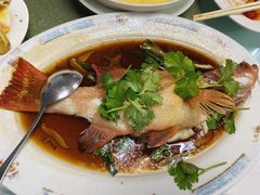 东星斑-新陶陶酒家