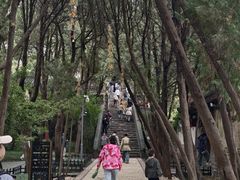 -三仙山风景区-蓬莱仙岛