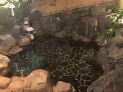 -有马温泉 竹取亭円山温泉旅馆