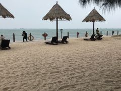 -北海金海湾红树林生态旅游区