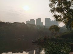 -重庆彩云湖湿地公园