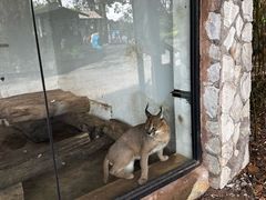 -云南野生动物园