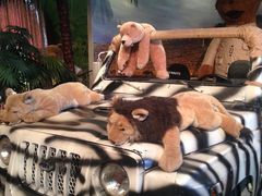 -济州岛泰迪熊博物馆