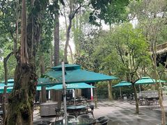 -王家渡火锅(三苏祠店)