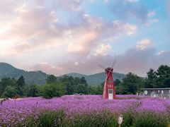 -名花谷生态庄园