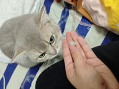 -暖阳宠物医院·犬猫康复中心·骨科