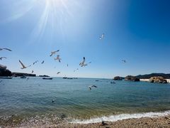 -银沙滩浴场