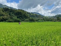 -云水谣景区