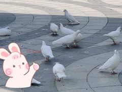 -南宫五洲植物乐园