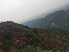 -木兰云雾山