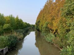 -上海长兴岛郊野公园