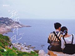 -广东惠东海龟国家级自然保护区