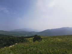 -灵山