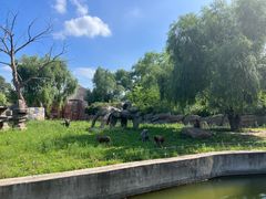 -齐齐哈尔龙沙动植物园