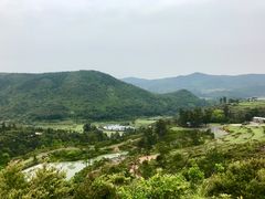 -大姆山草场