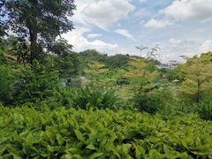 -厦门悦华酒店