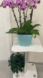 -海涛医疗美容·面部抗衰·注射美鼻