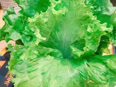 生菜叶-千纸鹤嫩汁烤肉(西大直街店)