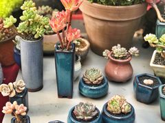 -秦美花卉(天朗·莱茵小城2期店)