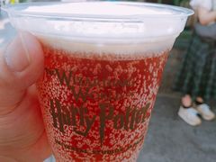 -哈利波特禁忌之旅