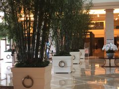 -锦江宾馆-花园餐厅