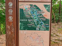 -阳台山森林公园
