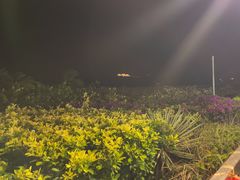 -渔家火锅·海鲜自助餐·演艺(亚龙湾天域酒店)