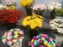 -南通洲际绿博园