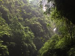 -武隆天坑地缝国家地质公园