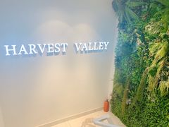 -执茶识麦(万达华府店)