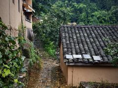 -杨家堂村