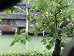 -乌镇景区