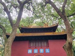 -普陀山风景名胜区-法雨禅寺