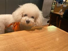 -MYLK意式小厨(熙地港店)