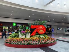 -上海浦东国际机场-T2航站楼