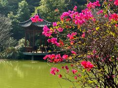 -云溪植物园