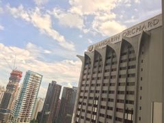 -新加坡乌节希尔顿酒店 (SG Clean)
