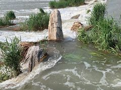 -永定河休闲森林公园