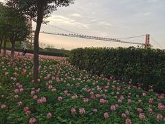 -花博汇(知音花月夜)